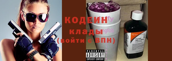гашик Тайга