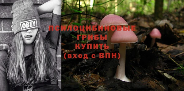 хмурый Корсаков