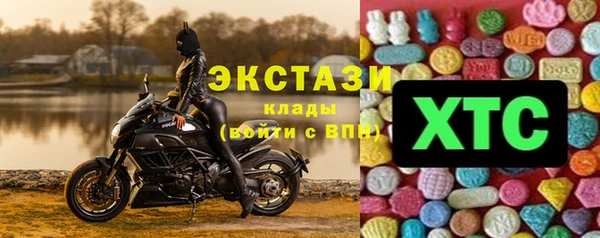 гидра Тавда